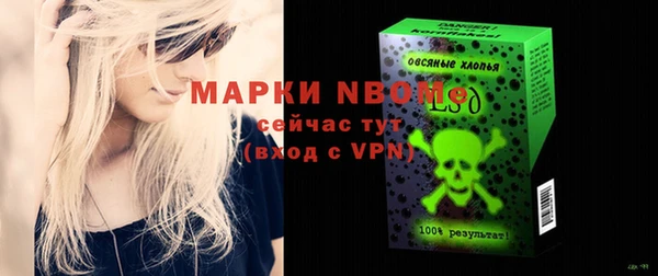 индика Карталы