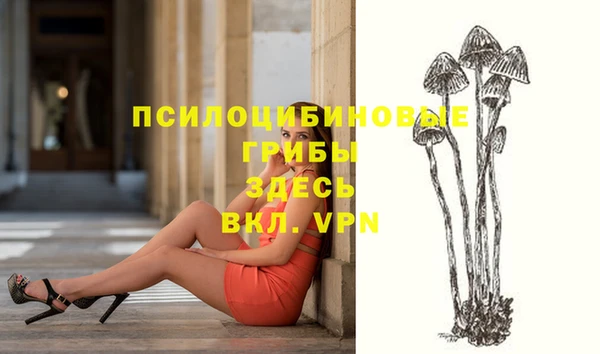 индика Карталы