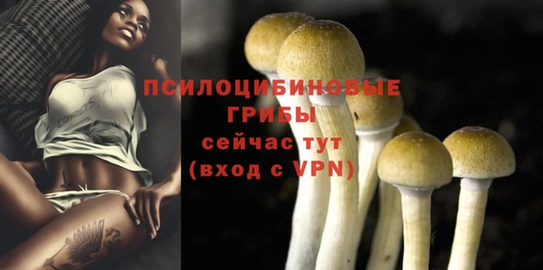 экстази Карпинск