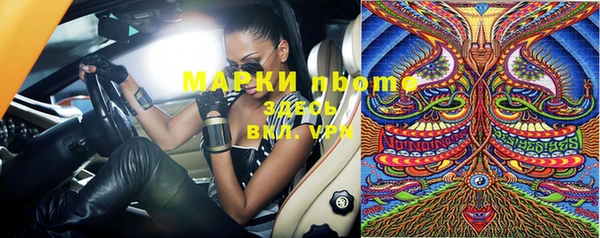 индика Карталы