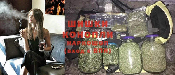 индика Карталы