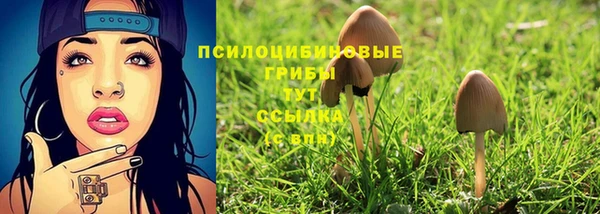 экстази Карпинск