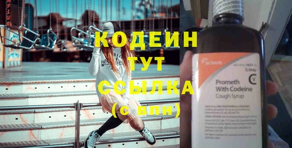 индика Карталы